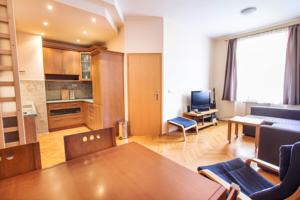 Apartment Leva Street in Prag