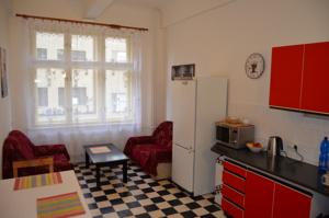 Apartment Opletalova in Prag