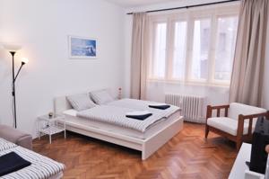 Apartment in Prag