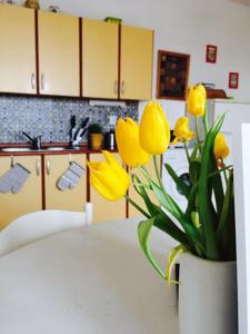 Apartment Stresovice in Prag