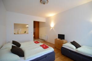 Apartments Karlin in Prag